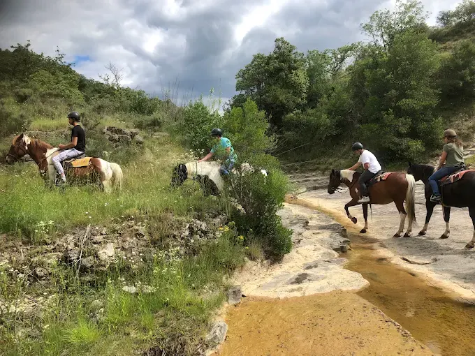 Reiten und Ponyreiten